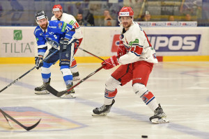 dsc_3869 kopie.jpg